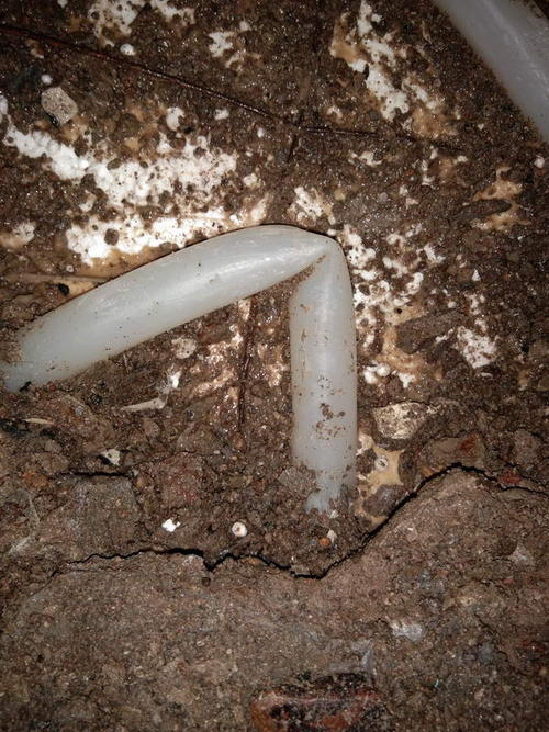 赞皇堵点精准查找